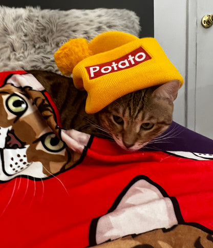 POTATO pom-pom beanie