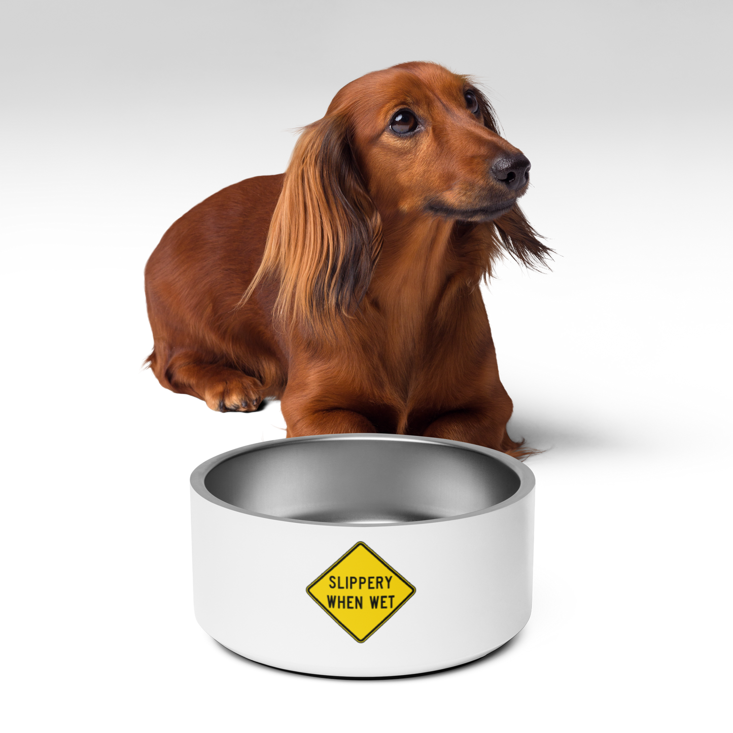 Slippery When Wet! pet bowl